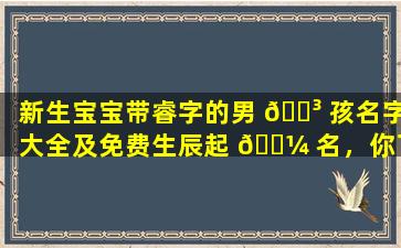 新生宝宝带睿字的男 🌳 孩名字大全及免费生辰起 🌼 名，你了解多少